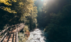 Naturdenkraum Bürser Schlucht